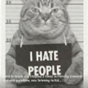 Meet your Posher, Lazy potato